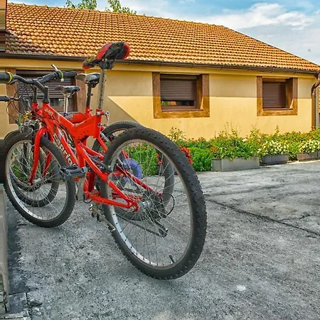 Chess Bed & Breakfast Bělehrad