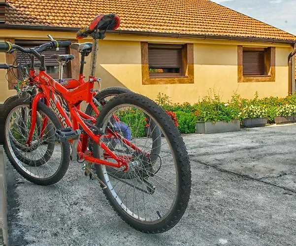 Chess فندق مبيت وإفطار بلغراد